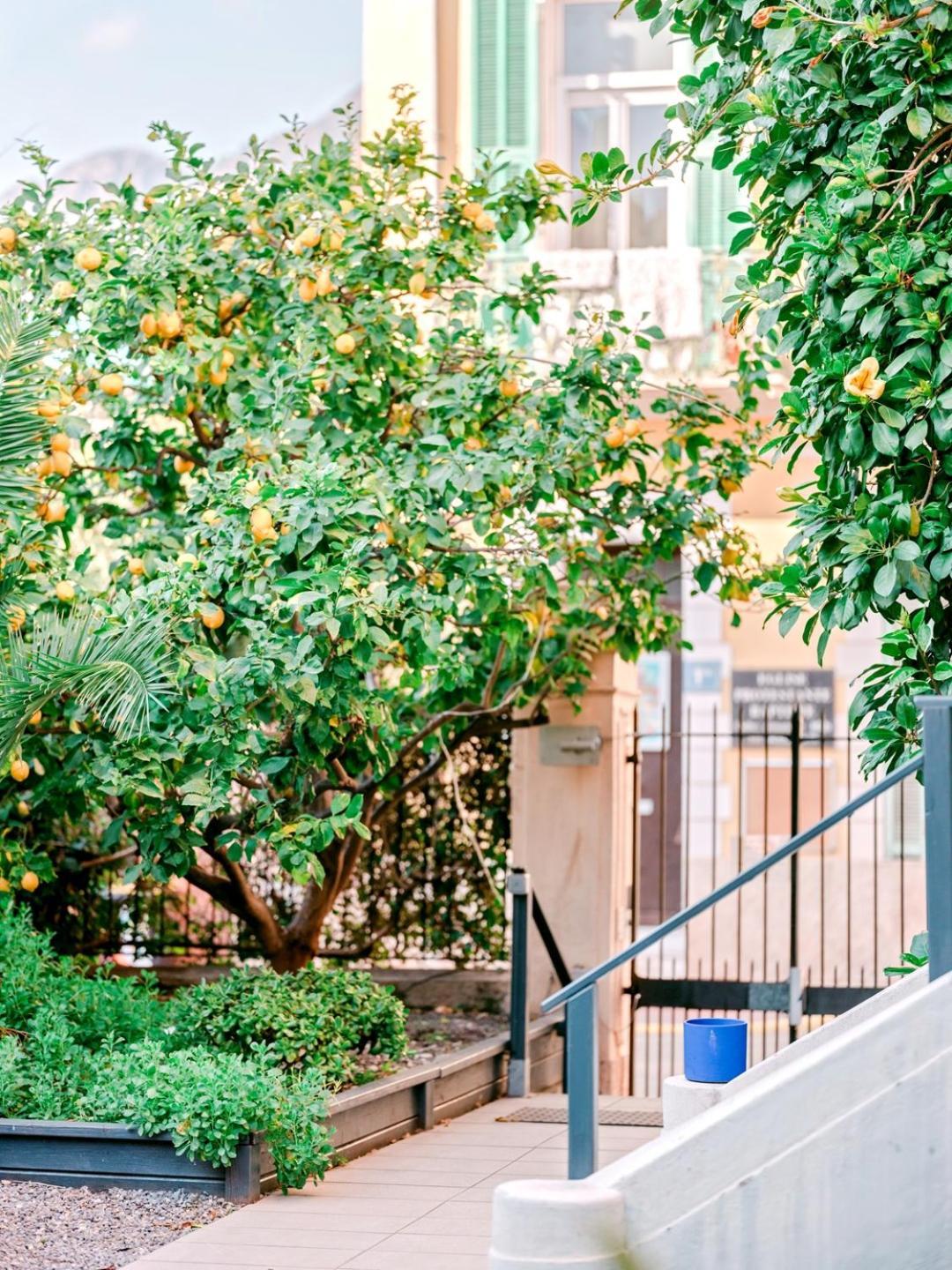 Hotel Lemon Menton Eksteriør billede